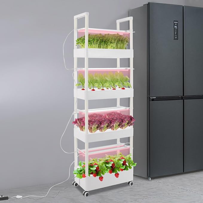 4 Layer 56 Pods