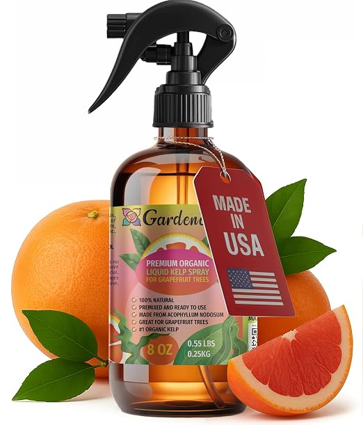 GRAPEFRUIT