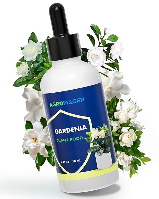 Gardenia