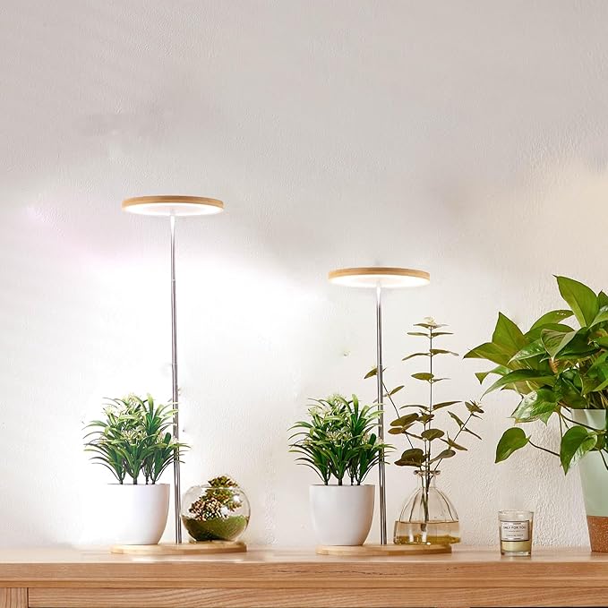 Bamboo with Base