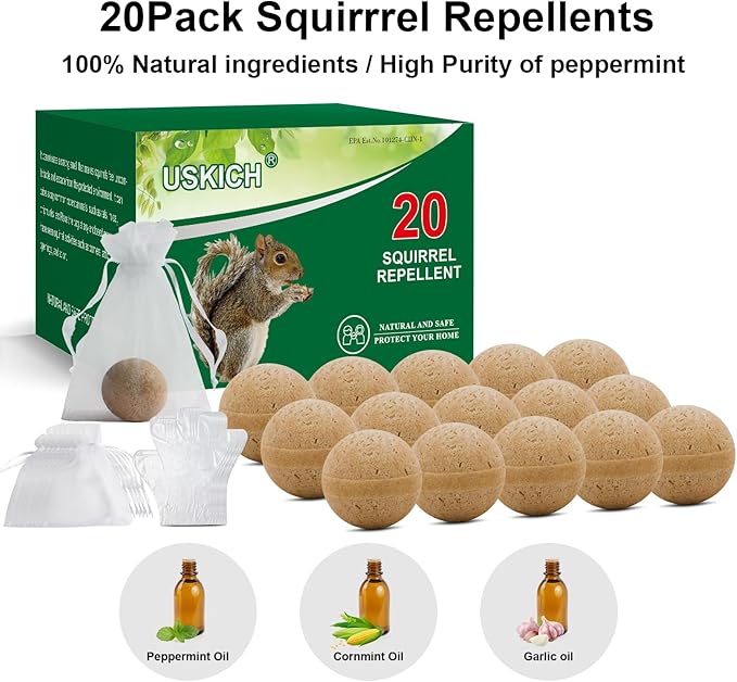 Brown-squirrel