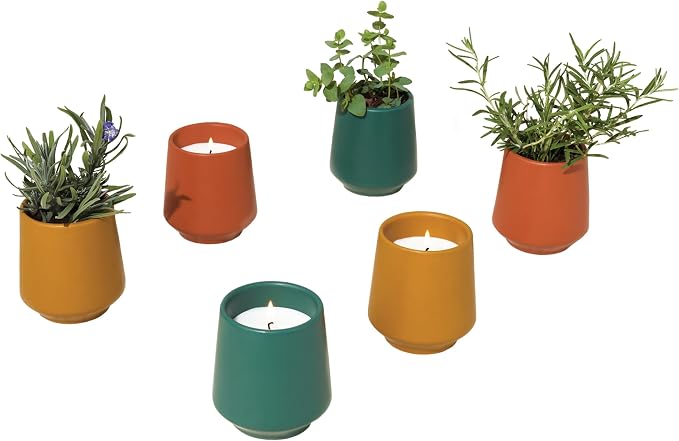 3-Pack Lavender, Rosemary & Thyme