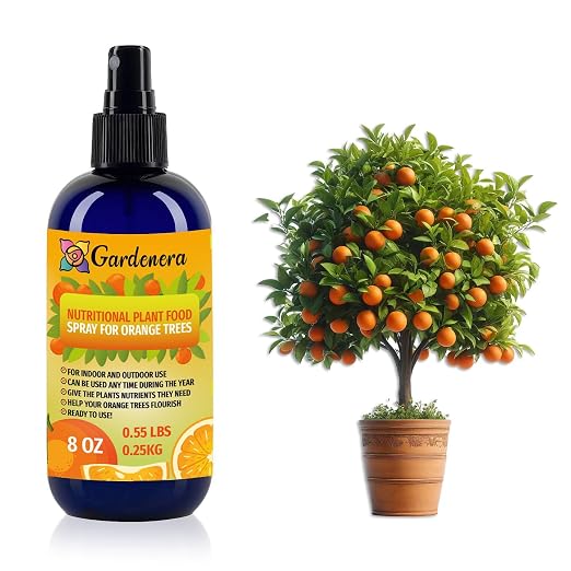 ORANGE TREE