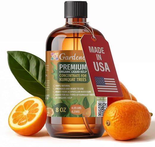 KUMQUAT