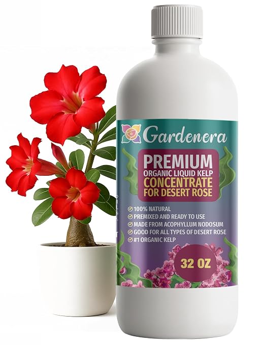 DESERT ROSE