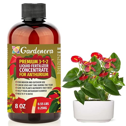 ANTHURIUM