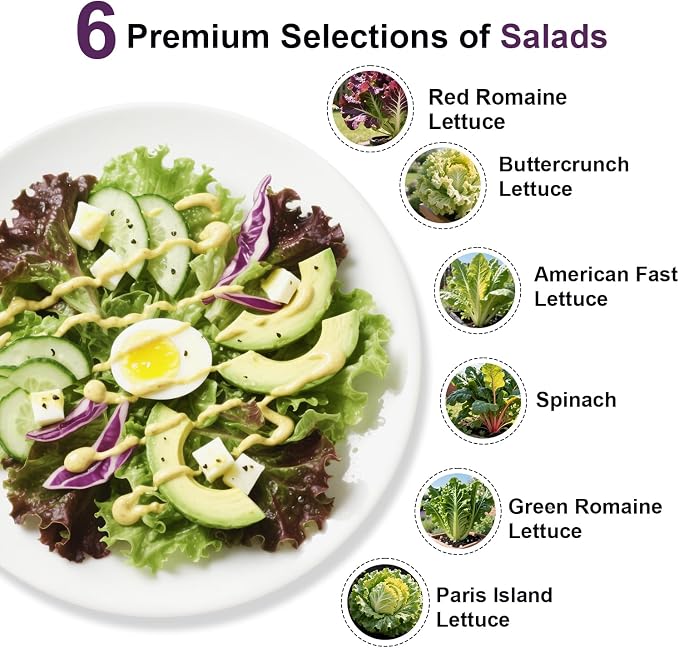 salad greens