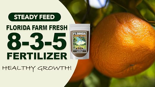 Florida Farm Fresh Organic