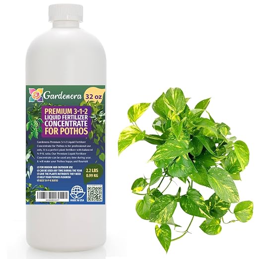 POTHOS