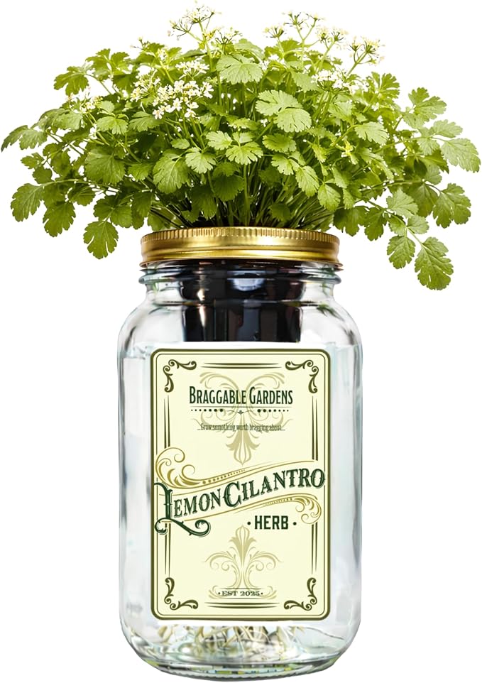 Lemon Cilantro