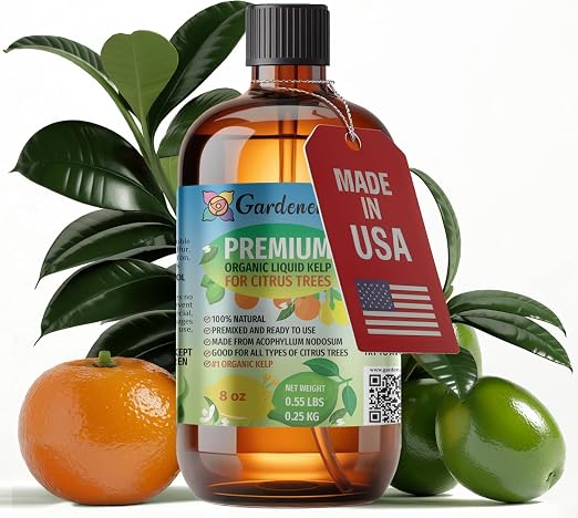All Citrus Trees