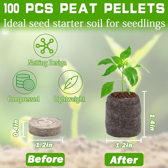 100pcs