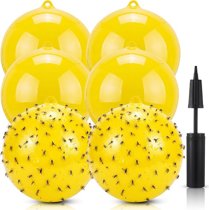 Gnat Fly Ball Trap