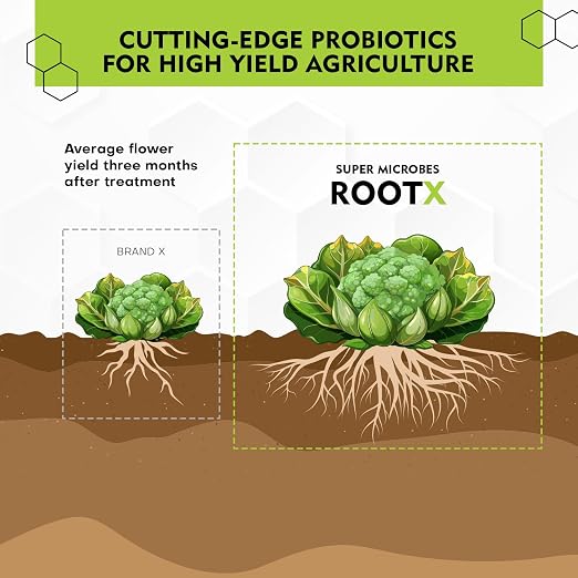ROOT X