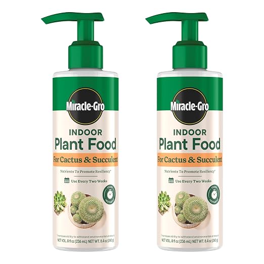 Cactus & Succulent