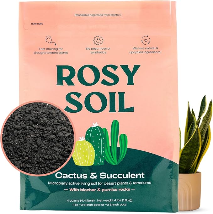 Cactus & Succulent