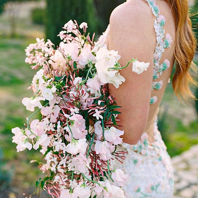 pink-jasmine