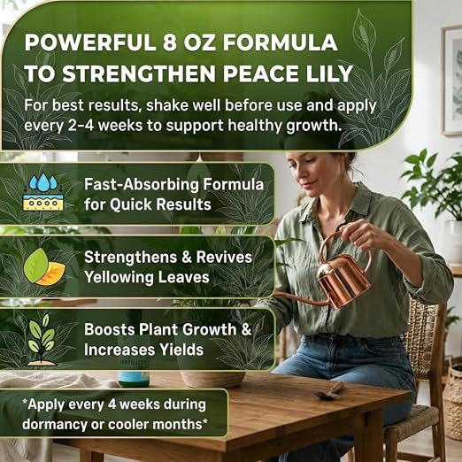 Peace Lily