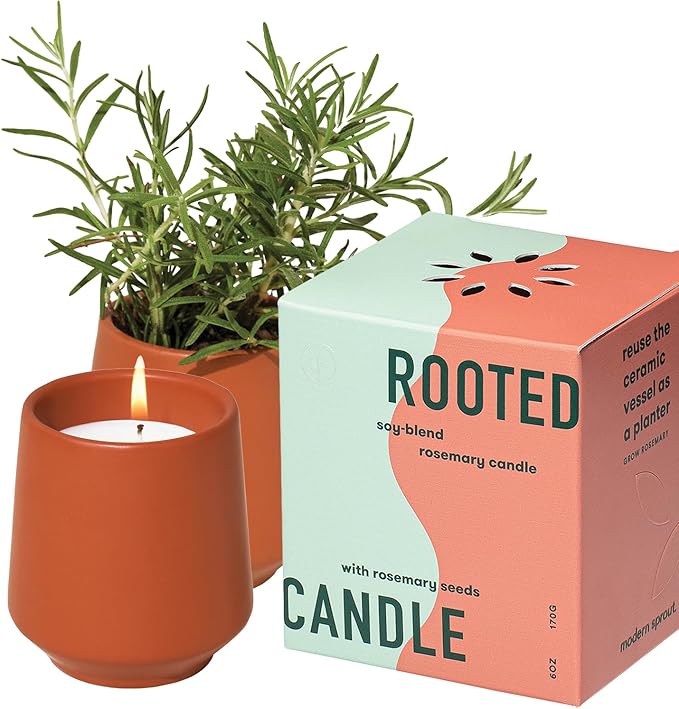 1-Pack Rosemary & Cucumber