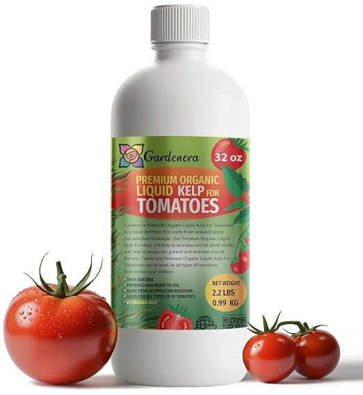 Tomato Plants