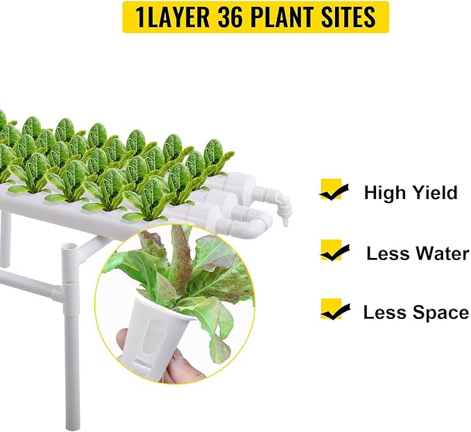 1f 4pipe 36site