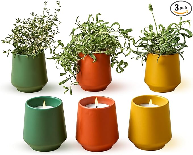 3-Pack Lavender, Rosemary & Thyme