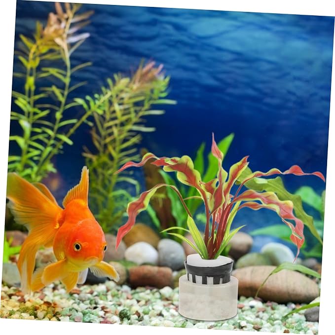 __DEFAULT__