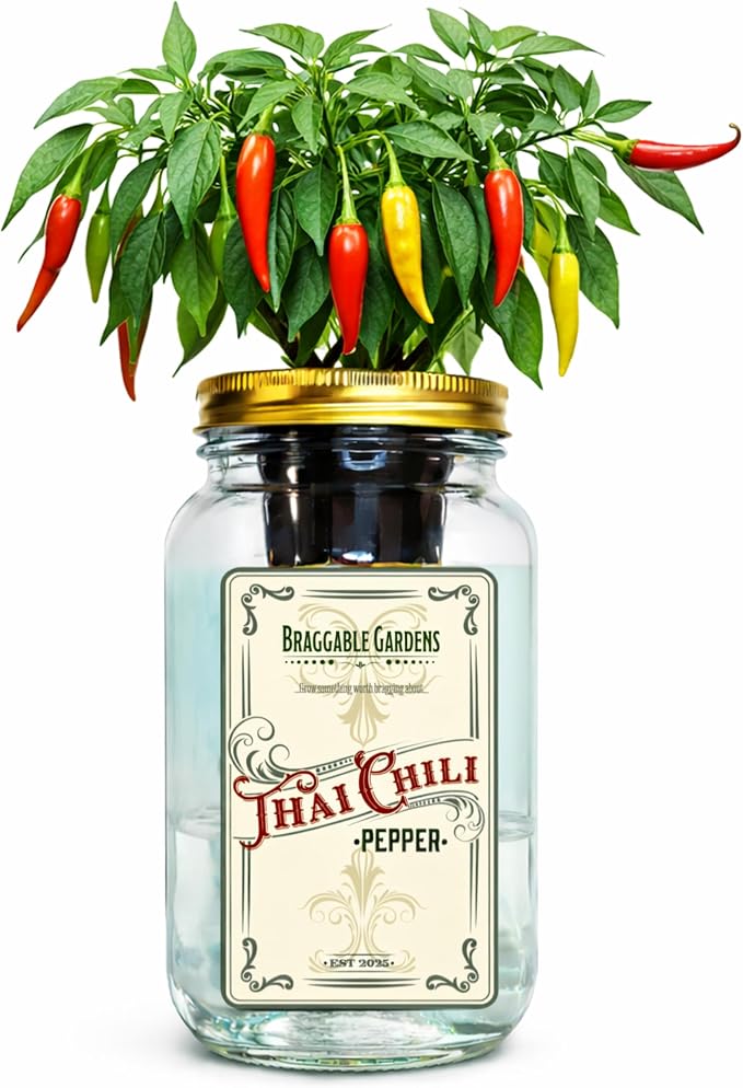 Thai Chili Pepper