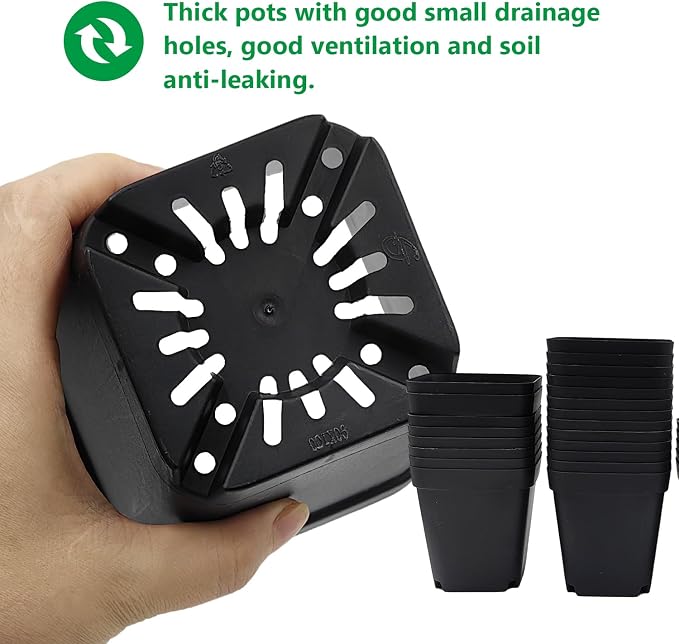 Black-90p