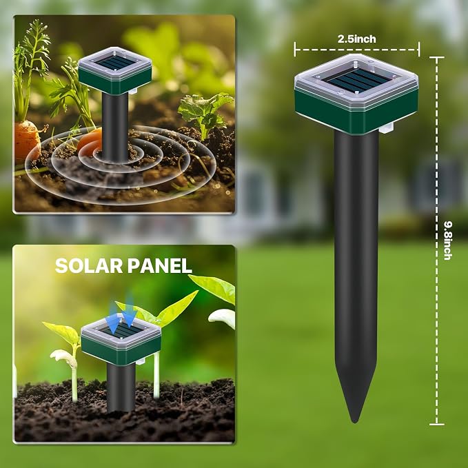 __DEFAULT__
