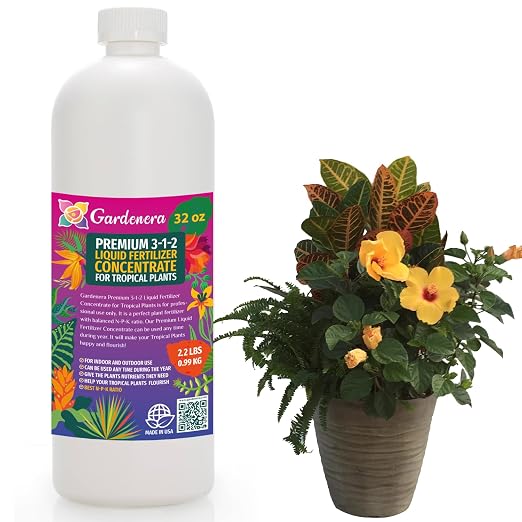 TROPICAL PLANTS