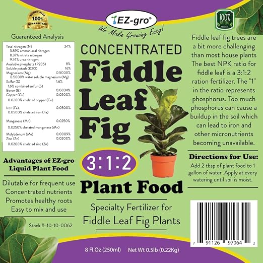Fiddle Leaf Fig