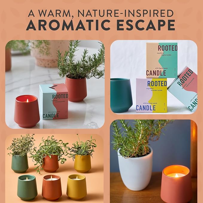 1-Pack Rosemary & Cucumber