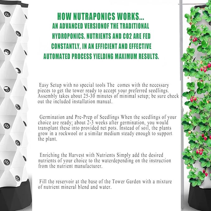 8Layers