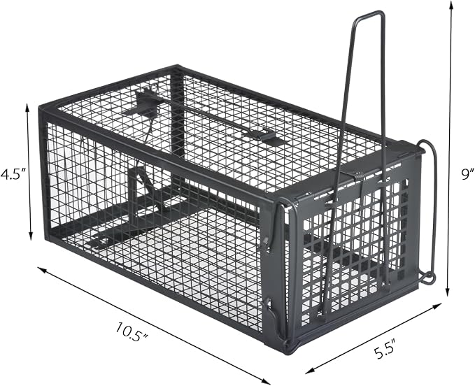 Black (2-Pack)