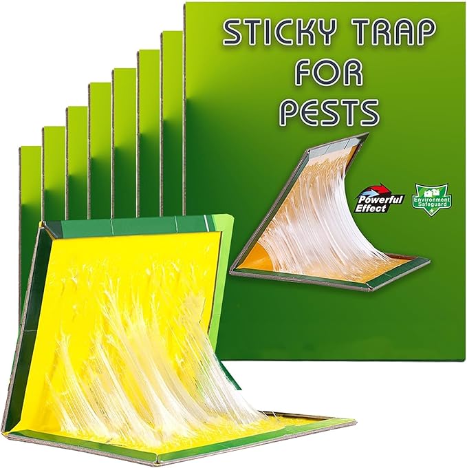 Green-10pcs