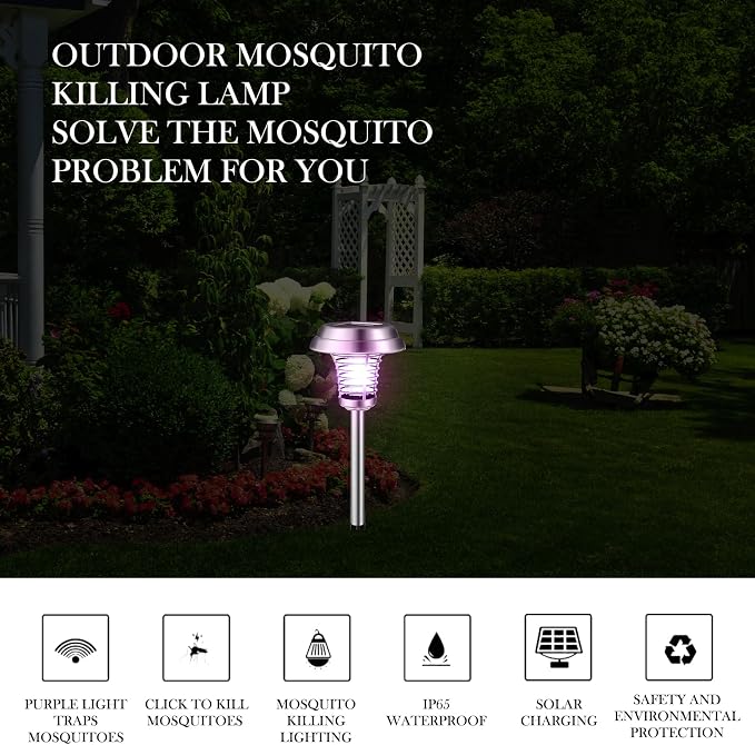 Silver Exterior, Purple, White Light