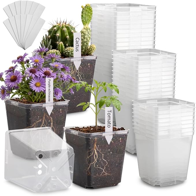 Clear Pot+lable-30p