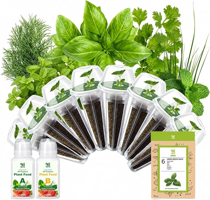 Herb