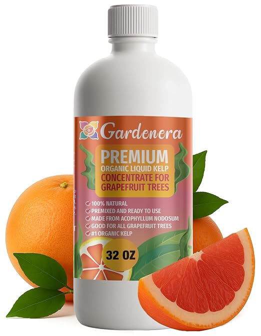GRAPEFRUIT