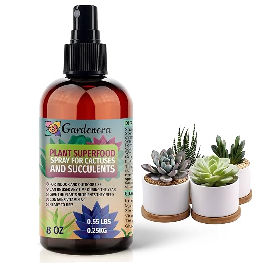 SUCCULENTS & CACTI Superfood