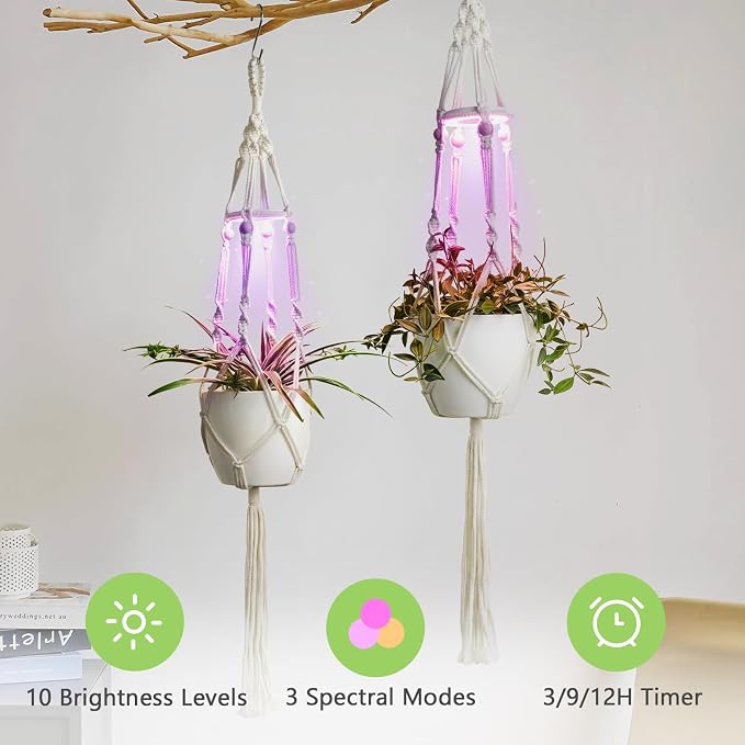 Plant Hanger Ivory(growpro)