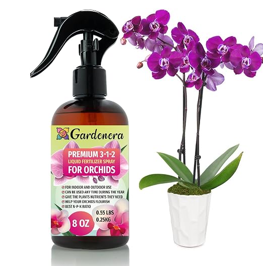 ORCHIDS