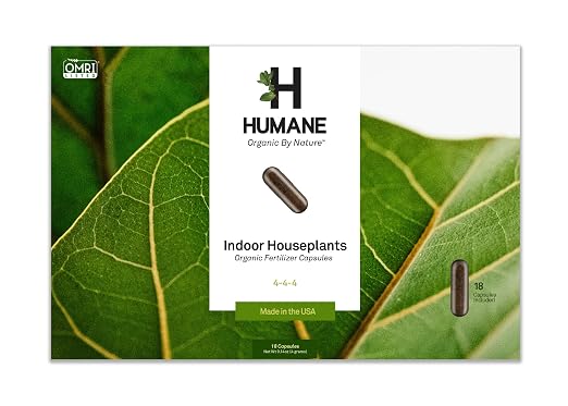 Houseplant