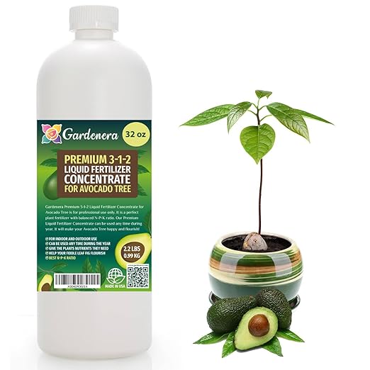 AVOCADO