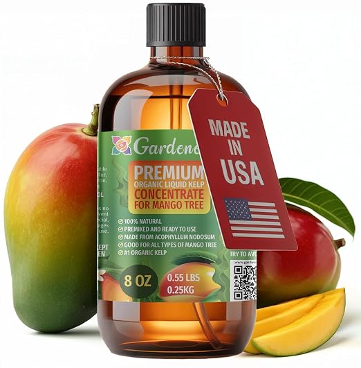 MANGO TREE