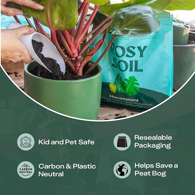 Plant Parents Gift Box