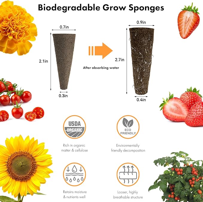 Flower Fruit Paradise