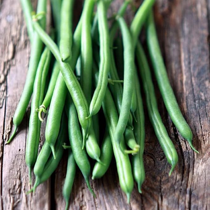 Black Bean