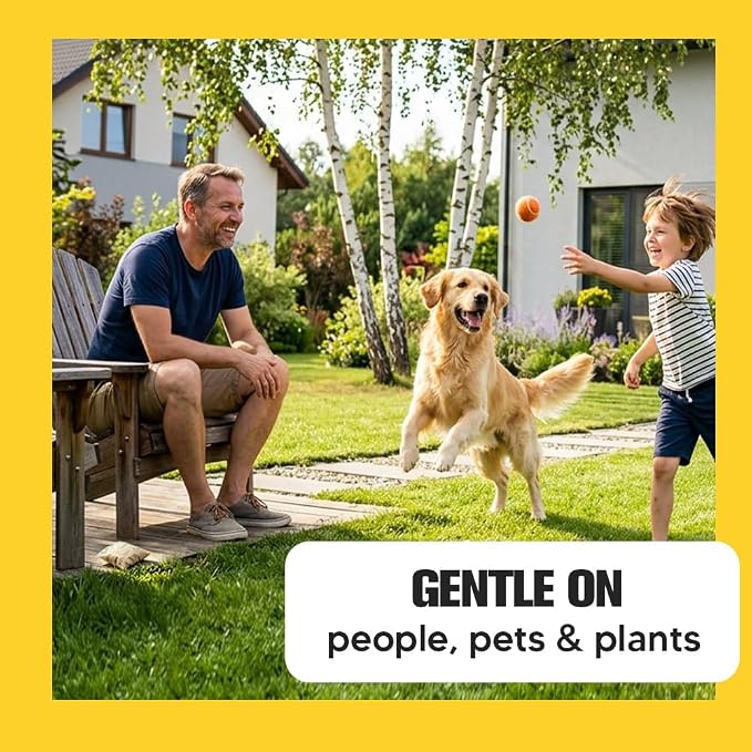 __DEFAULT__